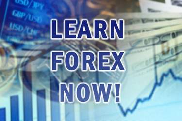 learn forex now