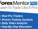 Forex mentor pro