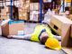 What Should You Do if You Get Injured While at Work